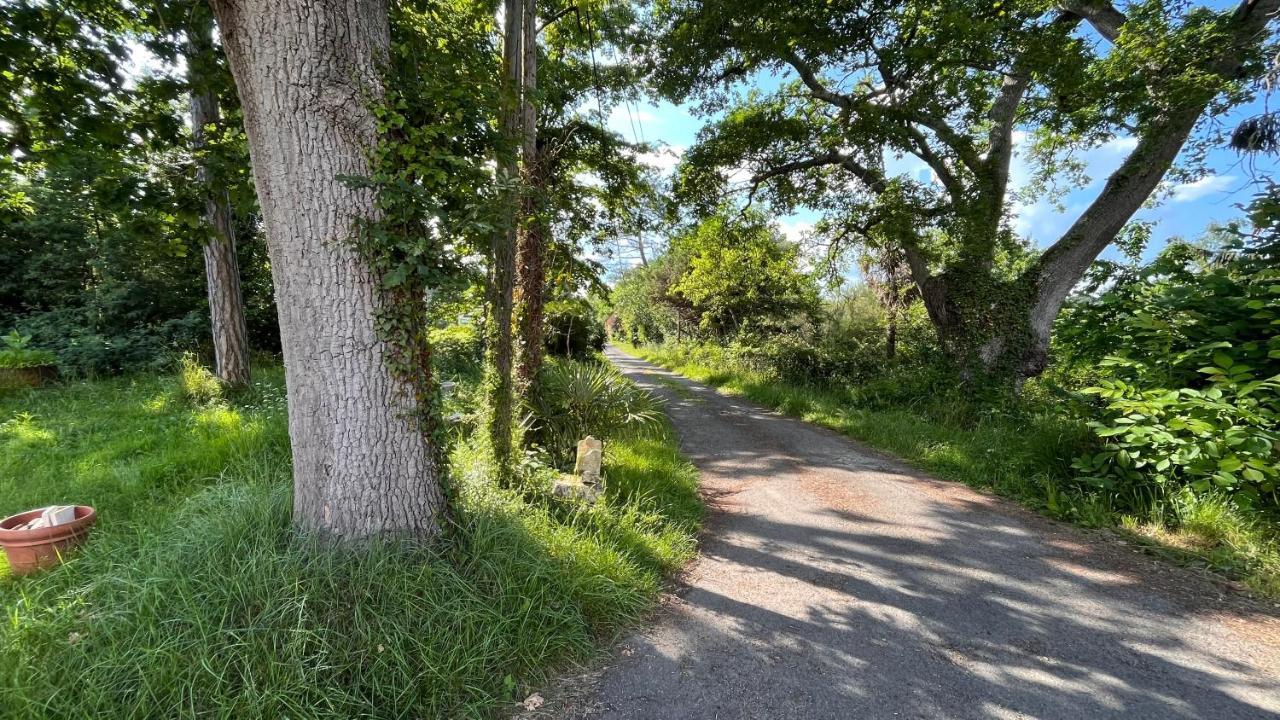 Metairie De Moutiques Villa Cazaubon Buitenkant foto