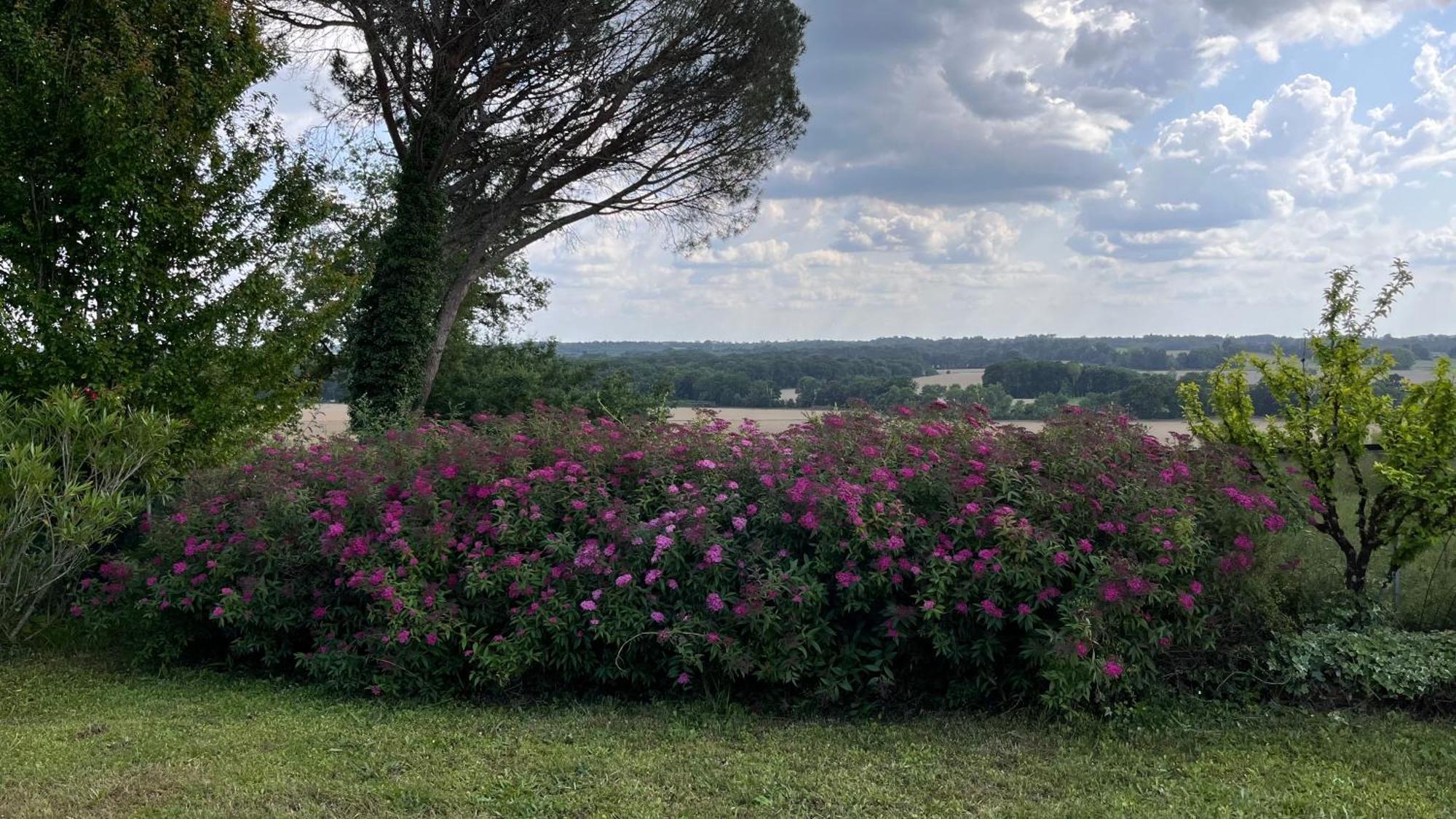 Metairie De Moutiques Villa Cazaubon Buitenkant foto
